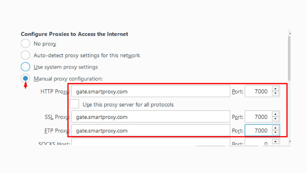 manual proxy