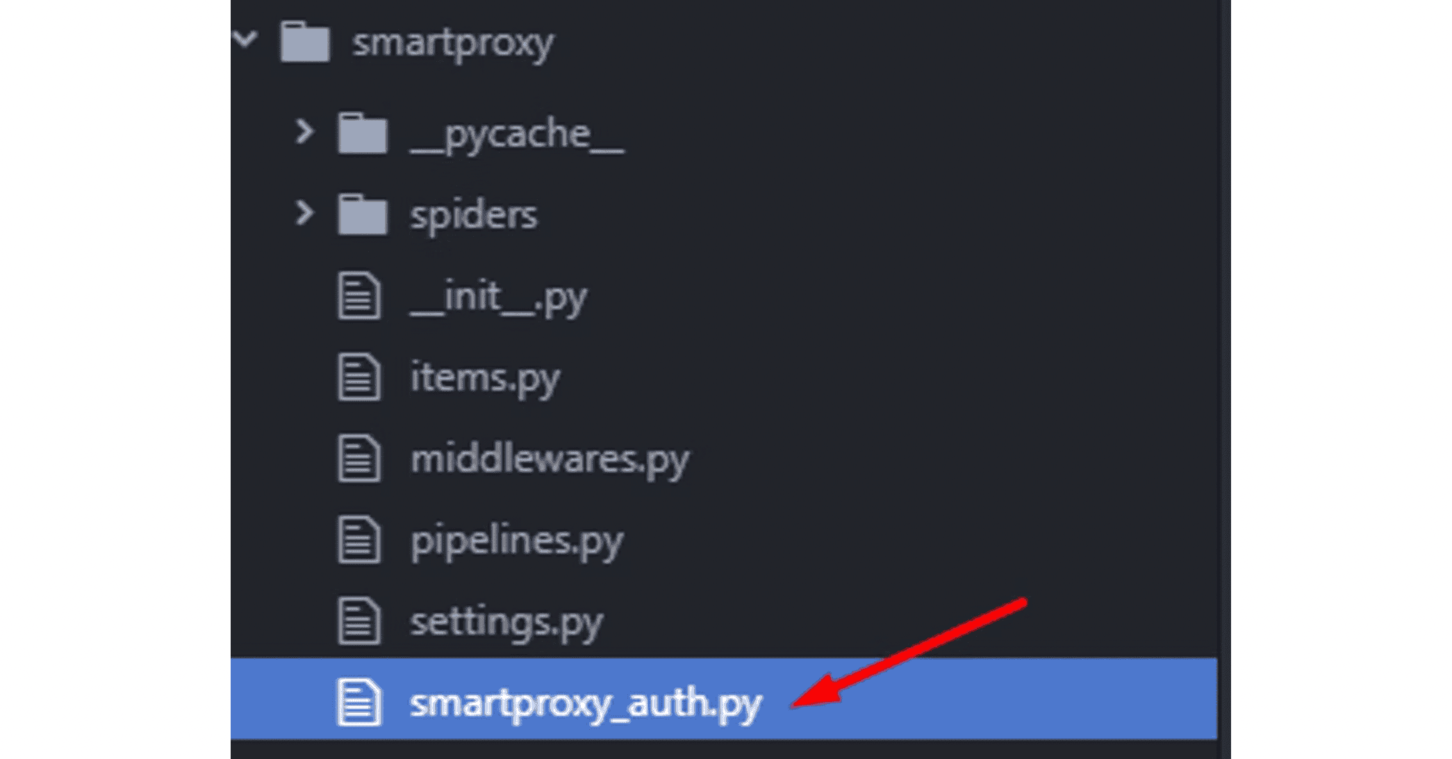 smartproxy_auth.py file