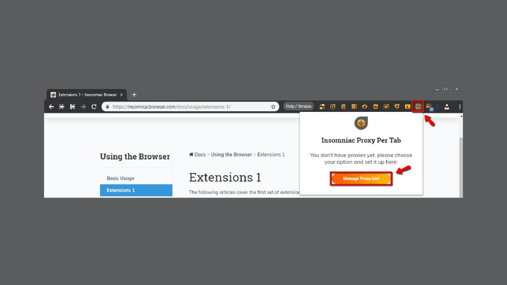 Proxy Switchy Omega Insomniac Browser Chrome Web Store Search