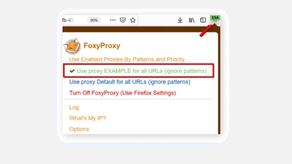 proxy-on-foxyproxy+2.png