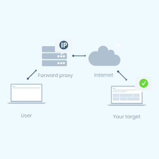 Proxy server type: forward proxy server