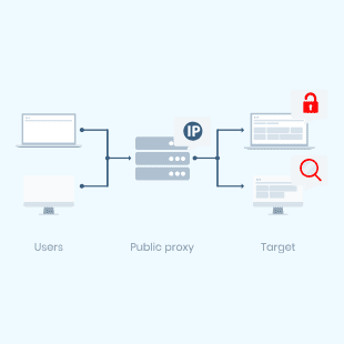 Proxy type: public proxy