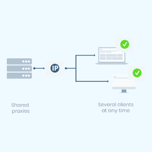 Proxy type: shared proxy